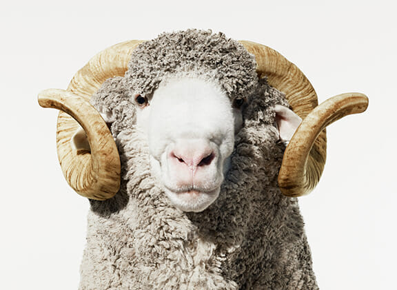 photo: www.woolmark.com Acheter éco-responsable, local et artisanal - LorFt