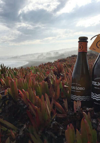 Cerveceria del Mar, une brasserie implantée au bord de l'océan.